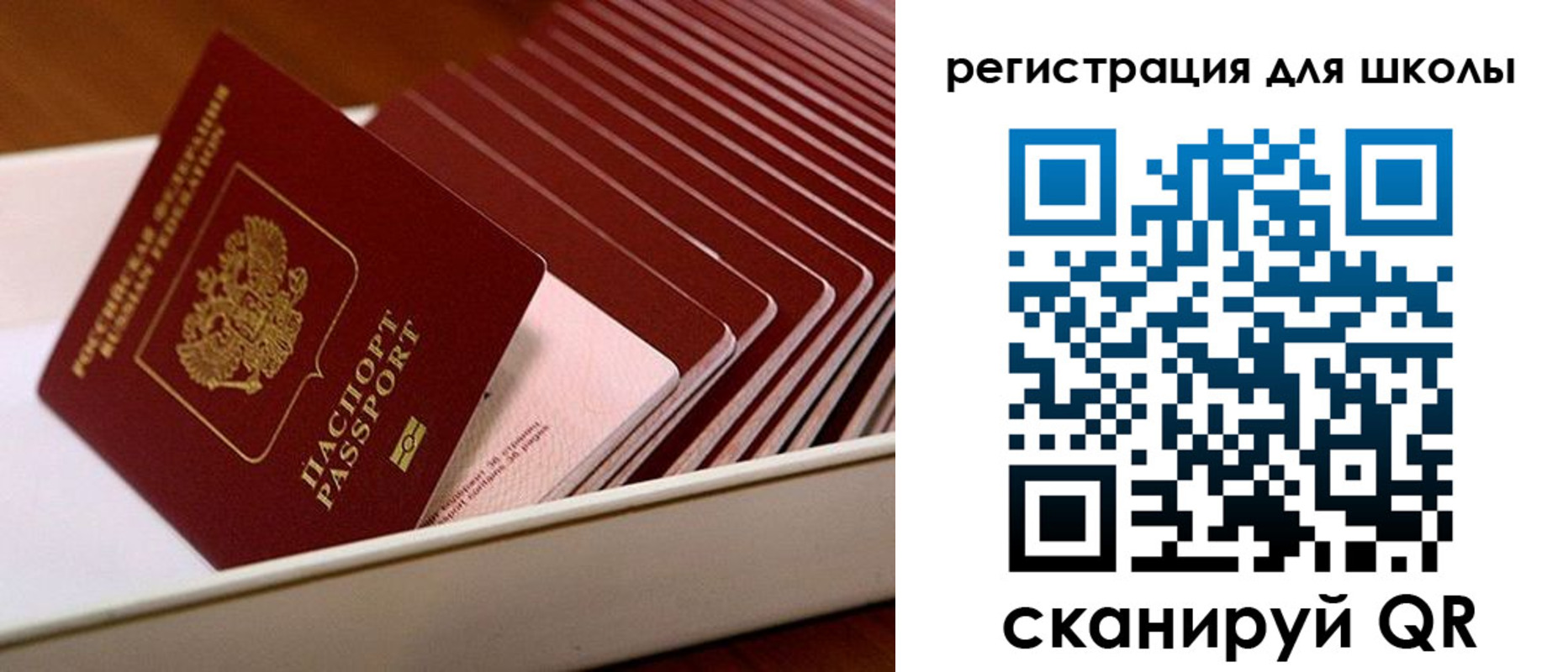 прописка гарантия в Суздали